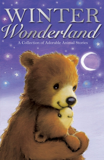 Book cover of: Winter Wonderland