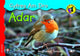 Book cover of: Cyfres am Dro: 3. Adar. By: Angharad Tomos