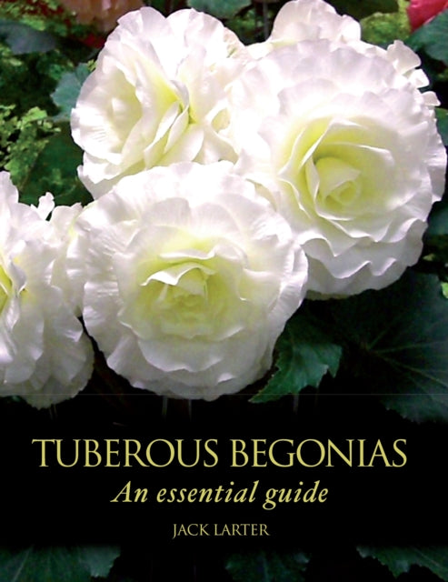 Book cover of: Tuberous Begonias. By: Jack Larter