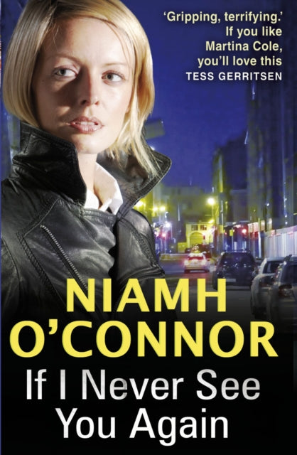 Book cover of: If I Never See You Again
