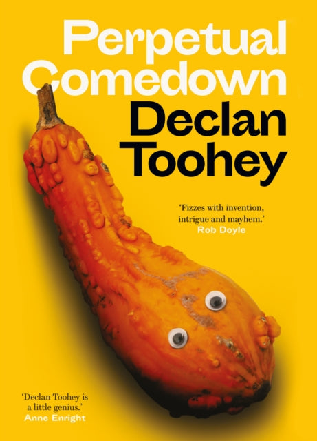 Book cover of: Perpetual Comedown. By: Declan Toohey