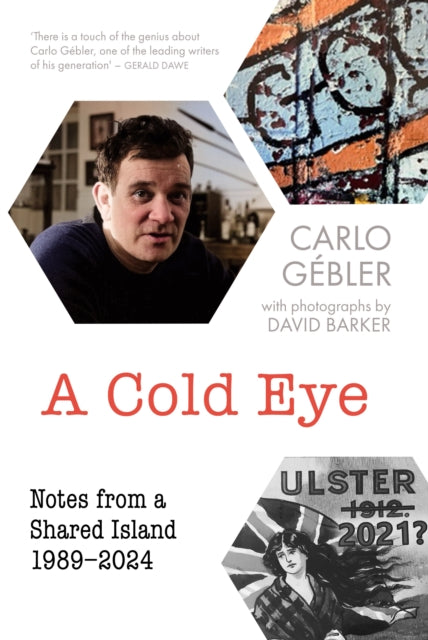 Book cover of: A Cold Eye. By: Carlo Gébler