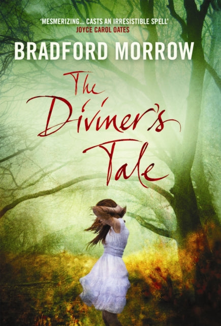 Book cover of: Diviner's Tale. By: Bradford Morrow