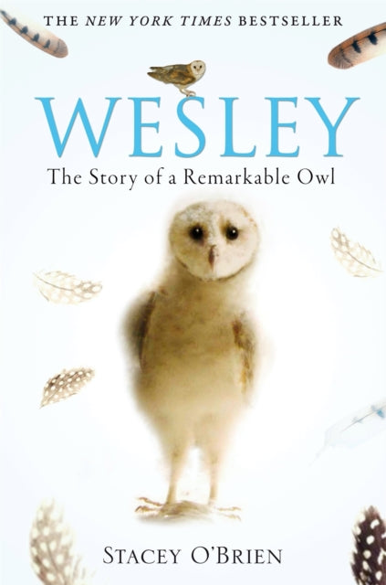 Book cover of: Wesley. By: Stacey O'Brien