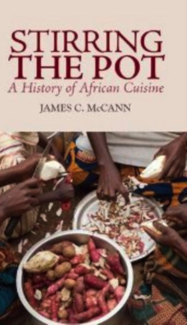 Book cover of: Stirring the Pot