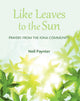 Book cover of: Like Leaves to the Sun