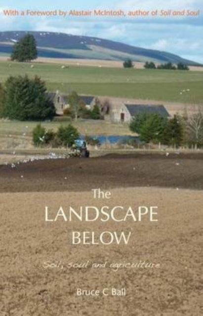 Book cover of: Landscape Below