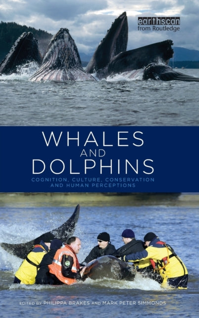 Book cover of: Whales and Dolphins. By: Philippa Brakes