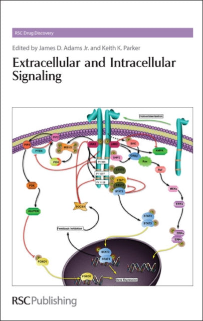 Book cover of: Extracellular and Intracellular Signaling