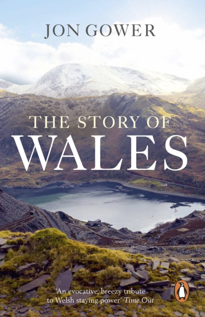 Book cover of: Story of Wales. By: Jon Gower