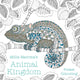 Millie Marotta's Animal Kingdom Pocket Colouring 9781849945905 Millie Marotta