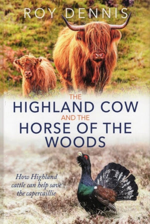 Highland Cow and the Horse of the Woods