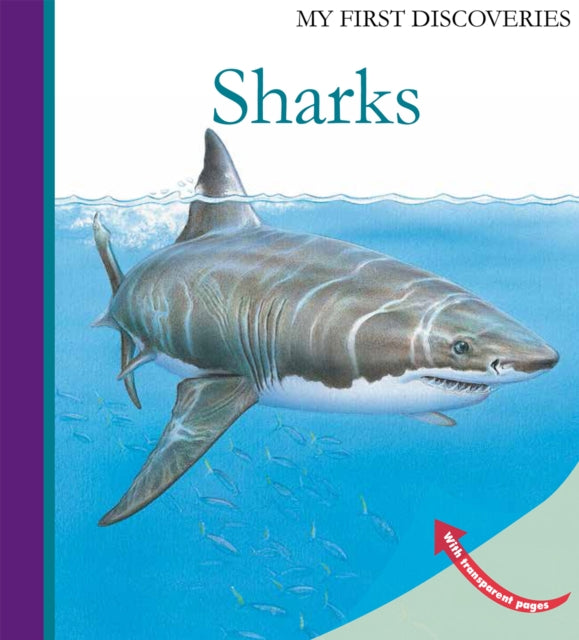 Book cover of: Sharks. By: Ute Fuhr