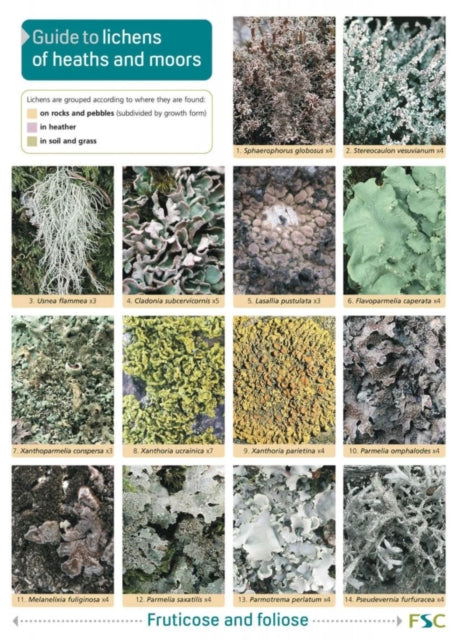 Book cover of: Guide to Lichens of Heaths and Moors