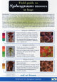 Book cover of: Field Guide to Sphagnum Mosses in Bogs