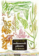 Book cover of: Guide to the Saltmarsh Plants of Britain