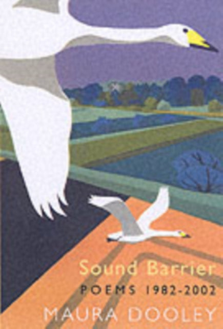 Book cover of: Sound Barrier
