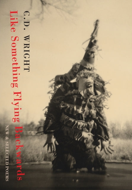 Book cover of: Like Something Flying Backwards. By: C. D. Wright