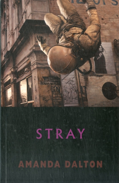 Book cover of: Stray. By: Amanda Dalton