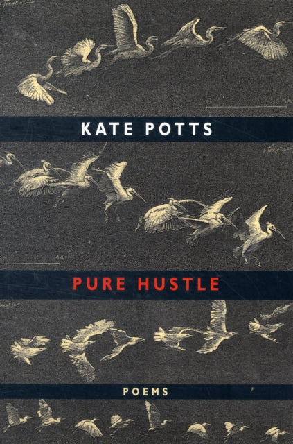 Book cover of: Pure Hustle. By: Kate Potts
