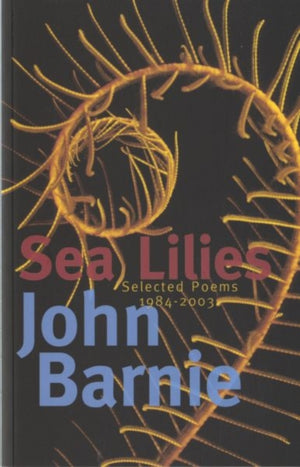 Sea Lilies