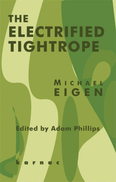 Book cover of: Electrified Tightrope. By: Michael Eigen
