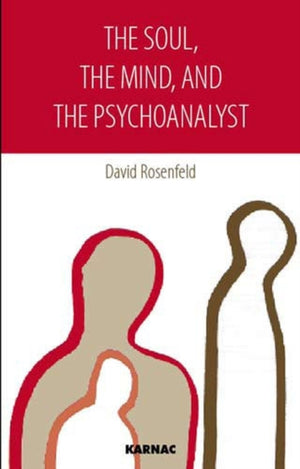 Soul, the Mind, and the Psychoanalyst