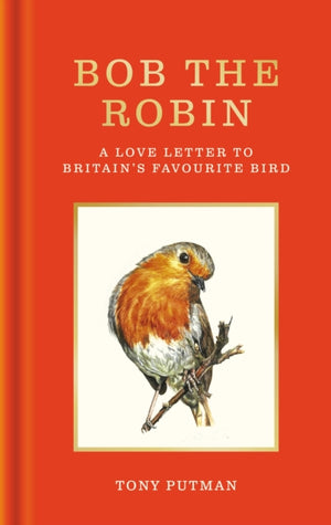 Bob the Robin, A love letter to Britain’s favourite bird