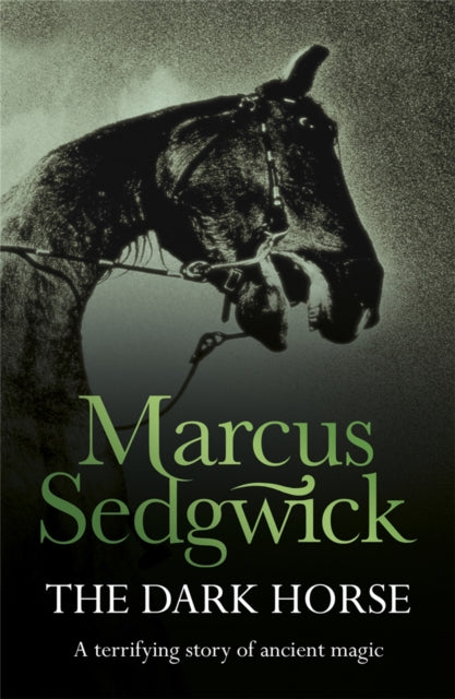 Book cover of: Dark Horse