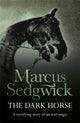 Book cover of: Dark Horse