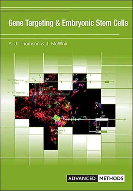 Book cover of: Gene Targeting and Embryonic Stem Cells. By: J. Mcwhir
