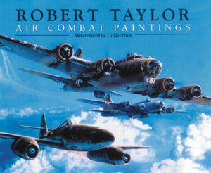 Air Combat Paintings