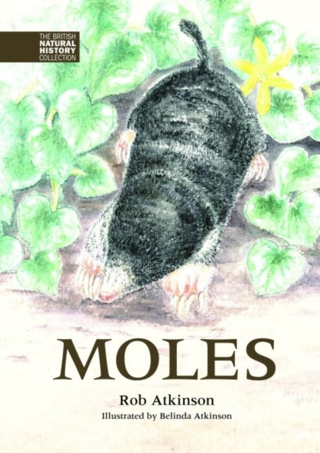 Book cover of: Moles. By: Belinda Atkinson Rob Atkinson