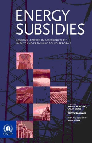 Energy Subsidies