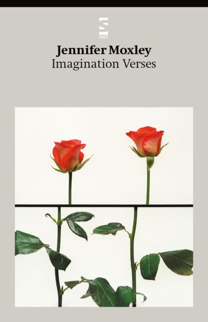 Book cover of: Imagination Verses. By: Jennifer Moxley