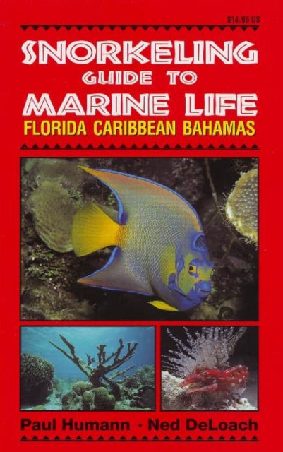 Book cover of: Snorkeling Guide to Marine Life