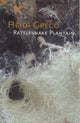 Book cover of: Rattlesnake Plantain. By: Heidi Greco