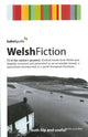 Book cover of: Babel Guide to Welsh Fiction