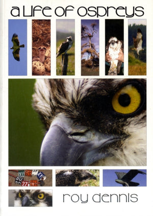 Life of Ospreys