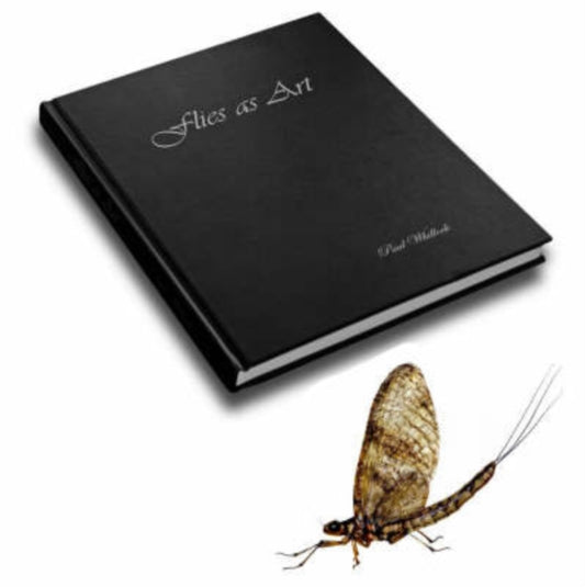 Book cover of: Flies as Art