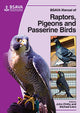 Book cover of: BSAVA Manual of Raptors, Pigeons and Passerine Birds