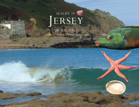 Book cover of: Sealife in Jersey