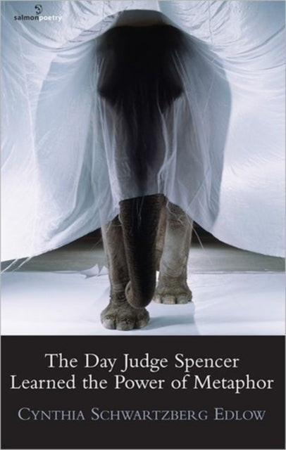 Book cover of: Day Judge Spencer Learned the Power of Metaphor. By: Cynthia Schwartzberg Edlow