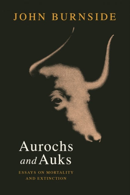 Book cover of: Aurochs and Auks. By: John BURNSIDE