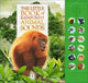 Book cover of: Little Book of Rainforest Animal Sounds