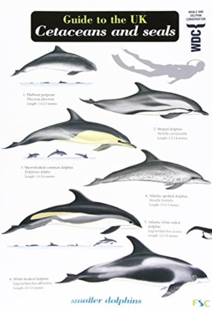 Book cover of: Guide to the UK Cetaceans and Seals