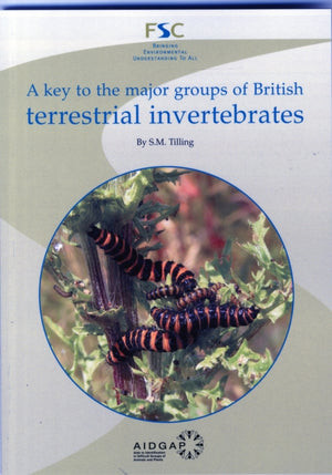 Key to the Major Groups of Terrestrial Invertebrates