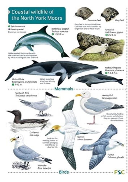Book cover of: Coastal wildlife of the North York Moors