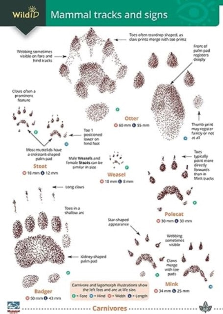 Book cover of: Mammal tracks and signs