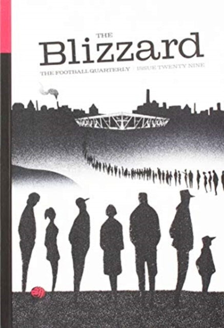 Book cover of: BLIZZARD 29
